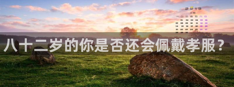 辉达娱乐app最新版