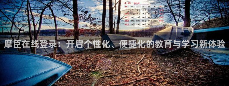 辉达娱乐：摩臣在线登录：开启个性化、便捷化的教育与学习新体验