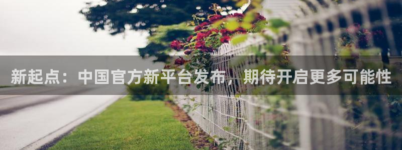 辉达娱乐代理：新起点：中国官方新平台发布，期待开启更多可能性