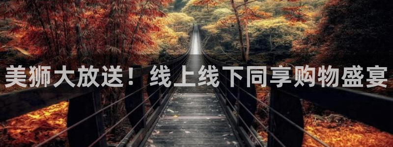 辉达娱乐体育凯捷登陆：美狮大放送！线上线下同享购物盛宴
