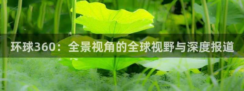 辉达娱乐体育和杏耀是哪个公司的：环球360：全景视角的全球视野与深度报道