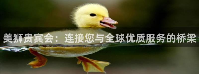 辉达娱乐预测在线预测：美狮贵宾会：连接您与全球优质服务的桥梁