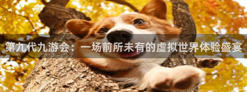 苹果版辉达娱乐下载安装：第九代九游会：一场前所未有的虚拟世界体验盛宴
