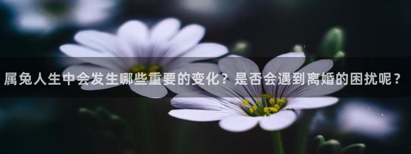 辉达娱乐体育eon：属兔人生中会发生哪些重要的变化？是否会遇到离婚的困扰呢？