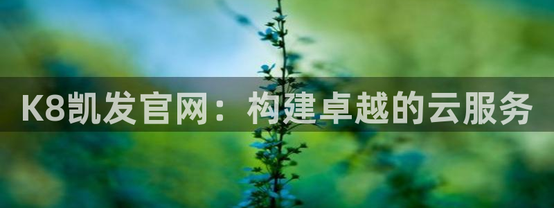 辉达娱乐平台注册账号：K8凯发官网：构建卓越的云服务