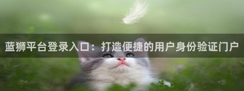 辉达娱乐体育注册：蓝狮平台登录入口：打造便捷的用户身份验证门户