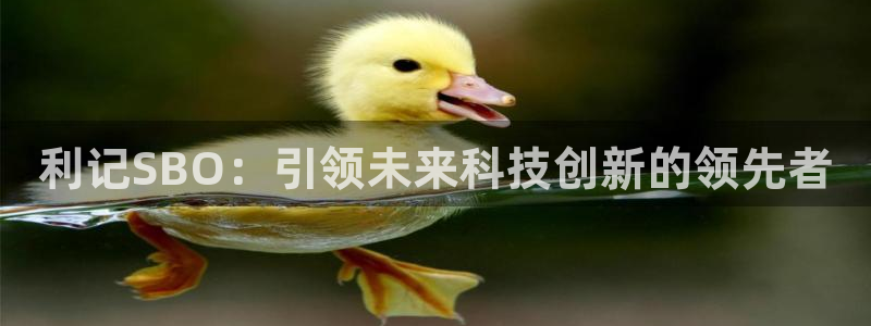 辉达娱乐有梦你就来：利记SBO：引领未来科技创新的领先者