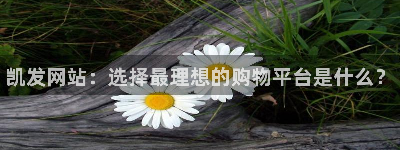 辉达娱乐2代理注册：凯发网站：选择最理想的购物平台是什么？