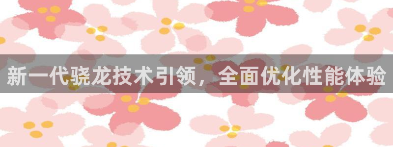 辉达娱乐体育f开户：新一代骁龙技术引领，全面优化性能体验