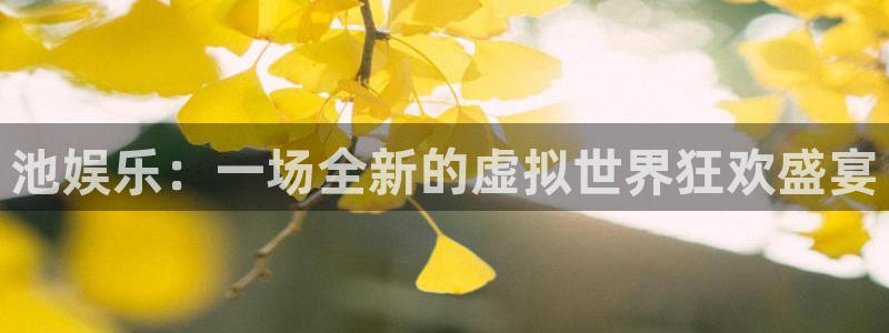 辉达娱乐注册：池娱乐：一场全新的虚拟世界狂欢盛宴