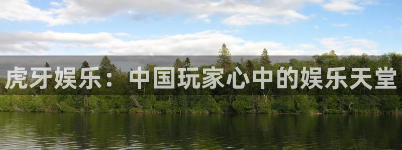辉达娱乐加拿大app预测：虎牙娱乐：中国玩家心中的娱乐天堂