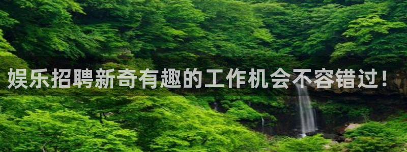 辉达娱乐集团：娱乐招聘新奇有趣的工作机会不容错过！