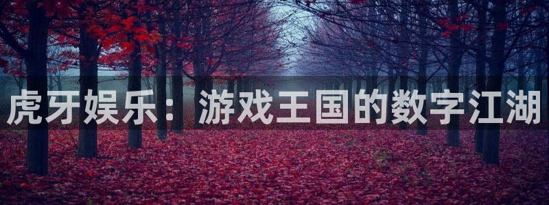 辉达娱乐体育2官网入口：虎牙娱乐：游戏王国的数字江湖
