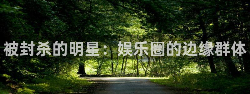 辉达娱乐登录网：被封杀的明星：娱乐圈的边缘群体
