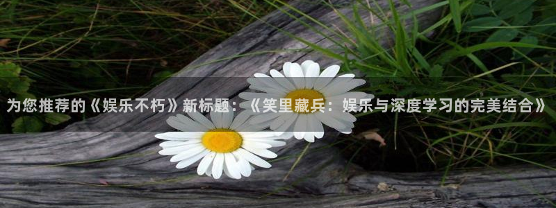 辉达娱乐注册平台：为您推荐的《娱乐不朽》新标题：《笑里藏兵：娱乐与深度学习的完美