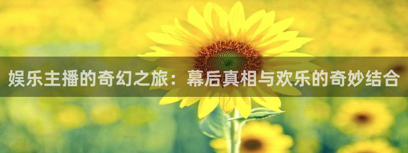 辉达娱乐2注册：娱乐主播的奇幻之旅：幕后真相与欢乐的奇妙结合