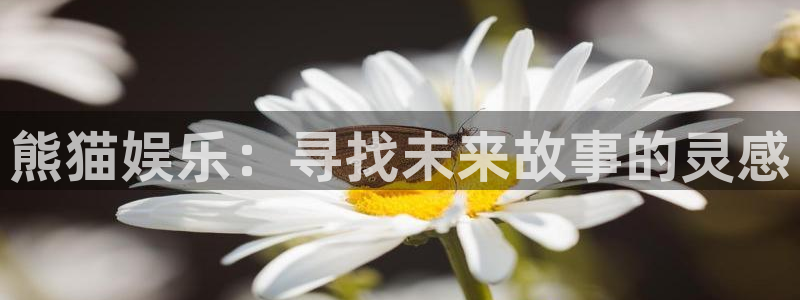 辉达娱乐体育注册平台：熊猫娱乐：寻找未来故事的灵感