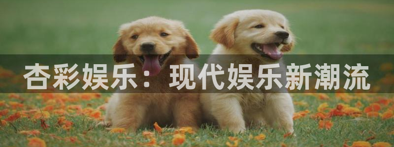 辉达娱乐招商：杏彩娱乐：现代娱乐新潮流