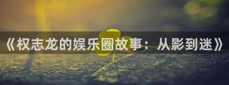 辉达娱乐凯捷平台：《权志龙的娱乐圈故事：从影到迷》