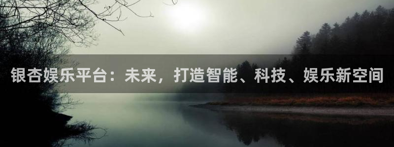辉达娱乐网站平台：银杏娱乐平台：未来，打造智能、科技、娱乐新空间