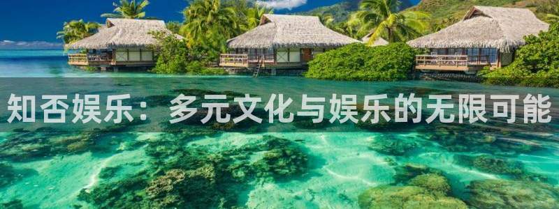 辉达娱乐体育和杏耀是哪个公司的：知否娱乐：多元文化与娱乐的无限可能