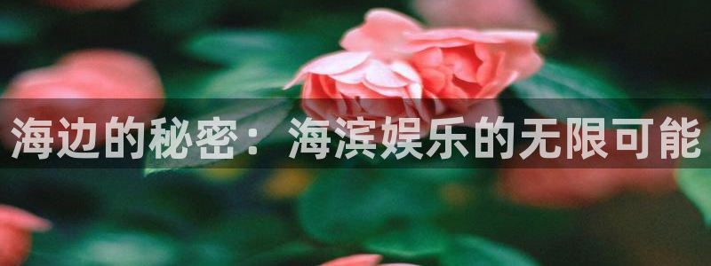 www.辉达娱乐体育.com：海边的秘密：海滨娱乐的无限可能