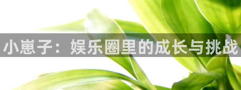辉达娱乐体育凯捷登陆：小崽子：娱乐圈里的成长与挑战