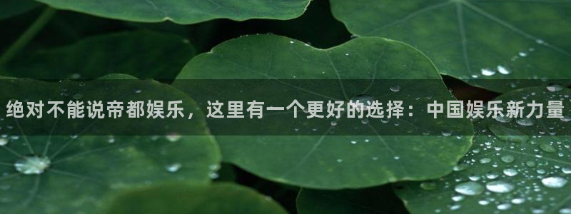 辉达娱乐是真的吗：绝对不能说帝都娱乐，这里有一个更好的选择：中国娱乐新力量