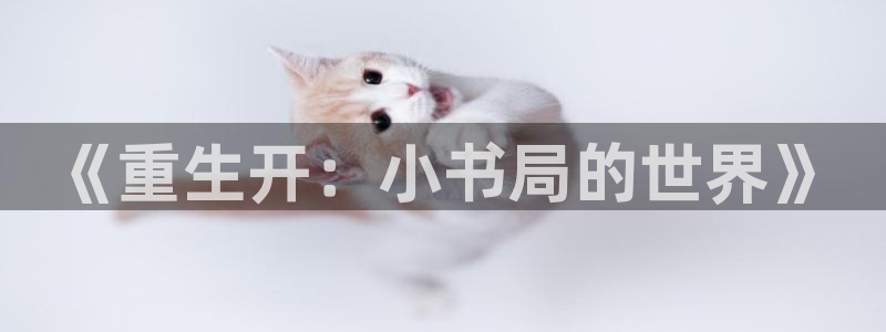 辉达娱乐平台官方入口下载：《重生开：小书局的世界》